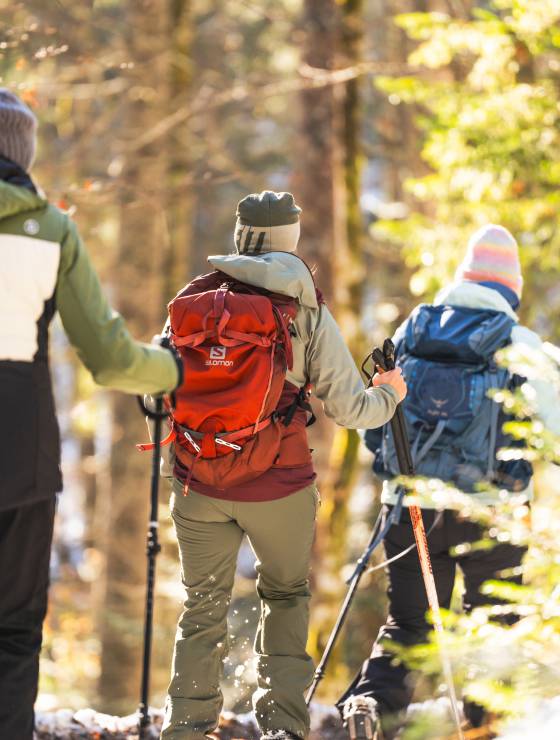 Schneeschuhwandern im Scheffau - Gruppe auf Tour