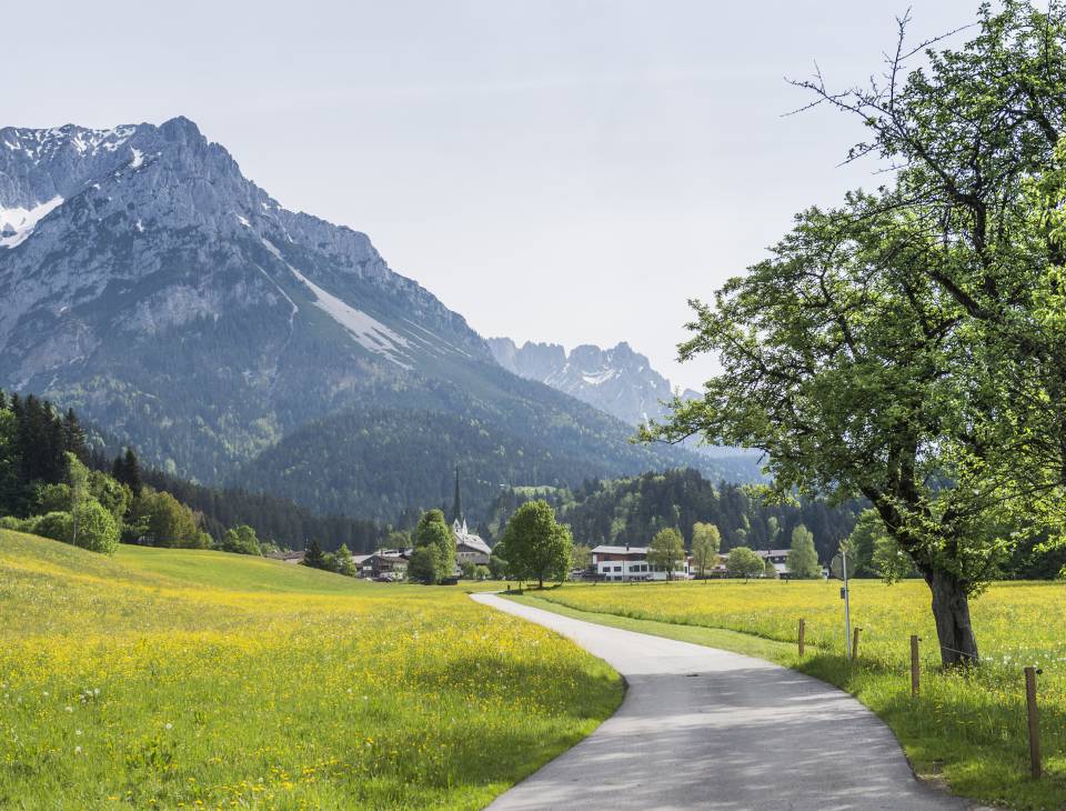 Weg durch Wiese Richtung Stadt Scheffau